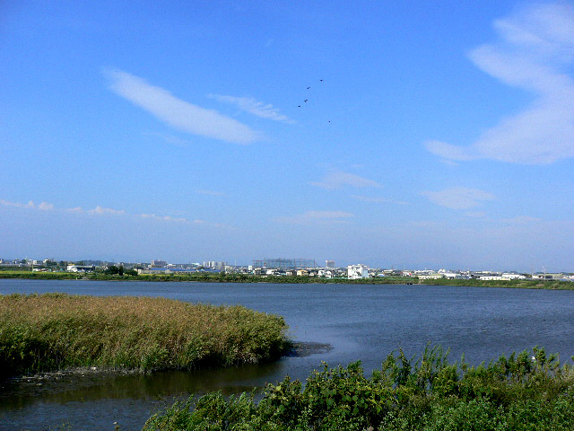 大池全景の写真