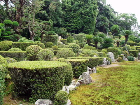 医王寺の庭園の写真