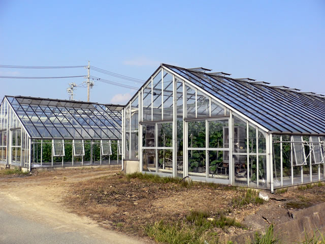 メロン栽培の温室