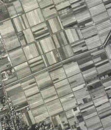 上空から見た耕地の写真
